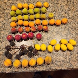 Sugared Fruit Decor - Lemons, Apples, Oranges, Pears, Pomegranate, Lot Of 56